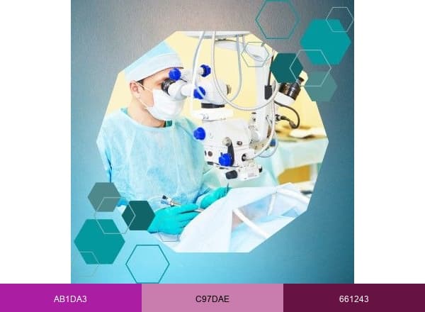 Physio Conferences brand color palette