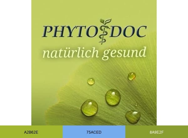 PhytoDoc brand color palette