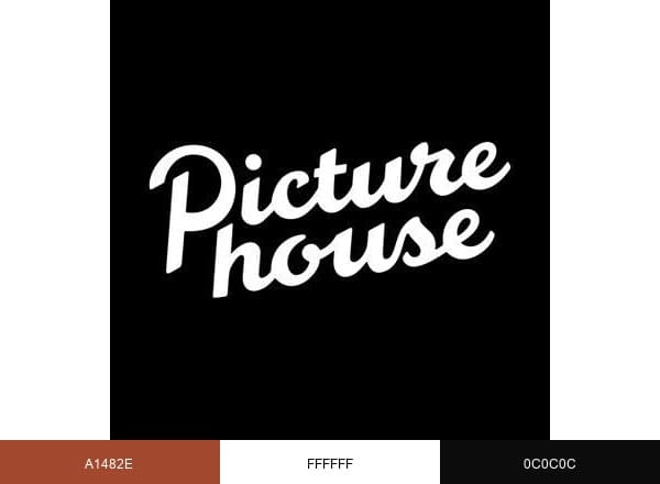Team Picturehouse brand color palette