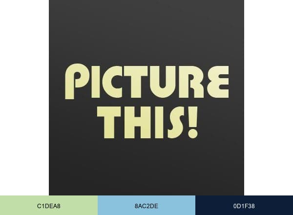 Picture This Gallery brand color palette