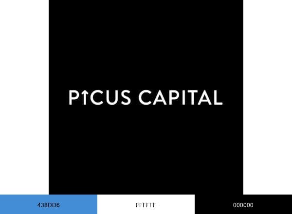 Picus Capital brand color palette