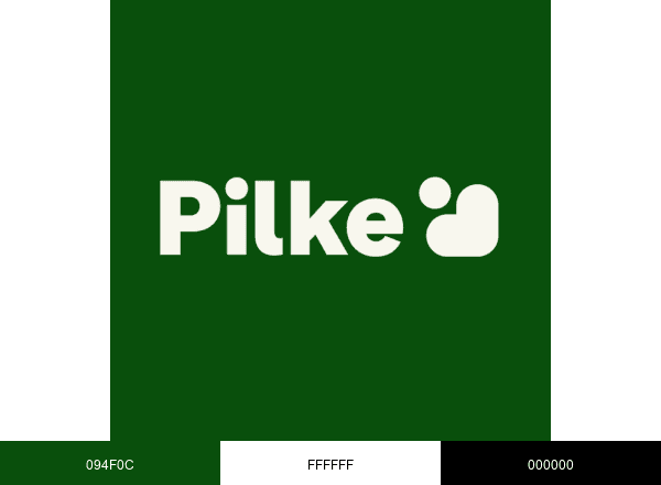 Pilke päiväkodit brand color palette