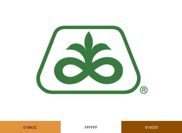 Pioneer brand color palette