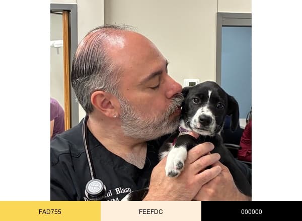 Plainfield vet clinic brand color palette