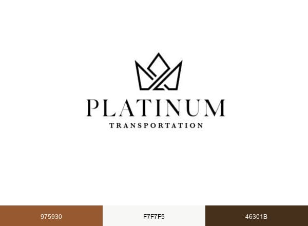 Platinum Transportation brand color palette