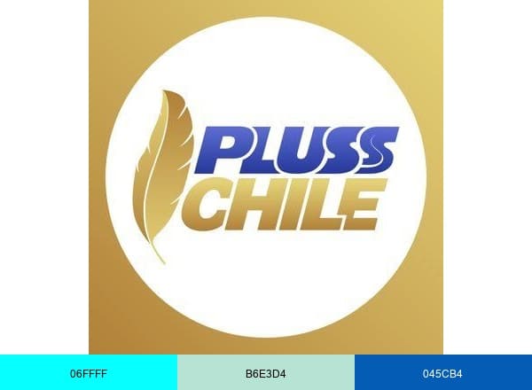 Buses Pluss Chile brand color palette