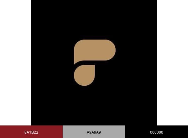 PolarPro brand color palette