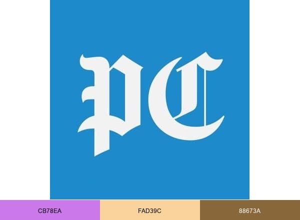 The Post and Courier brand color palette