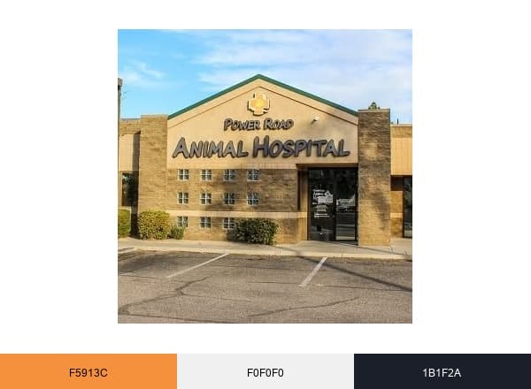 Power Road Animal Hospital brand color palette
