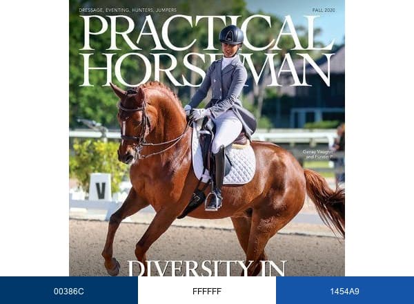 Practical Horseman Magazine brand color palette