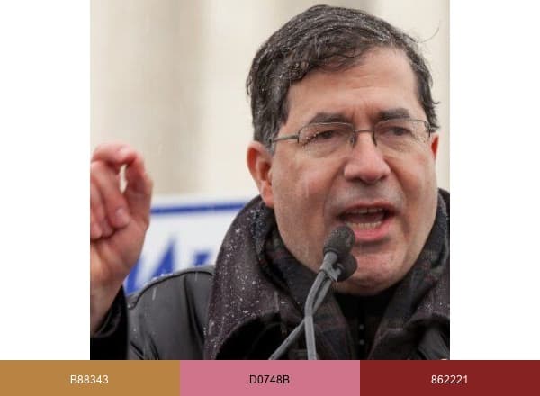 Priests for Life brand color palette