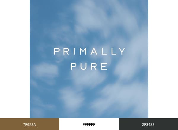 Primally Pure brand color palette