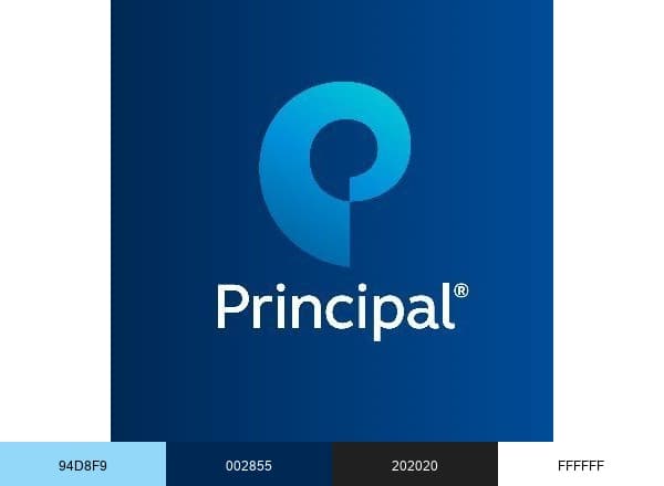 Principal brand color palette