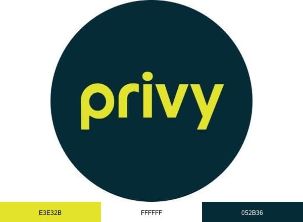 Privy brand color palette