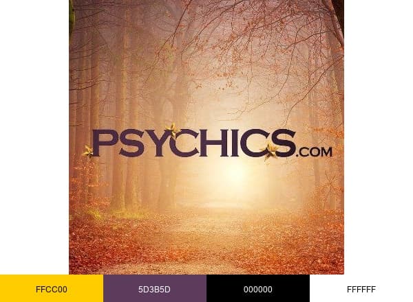 Psychics.com brand color palette