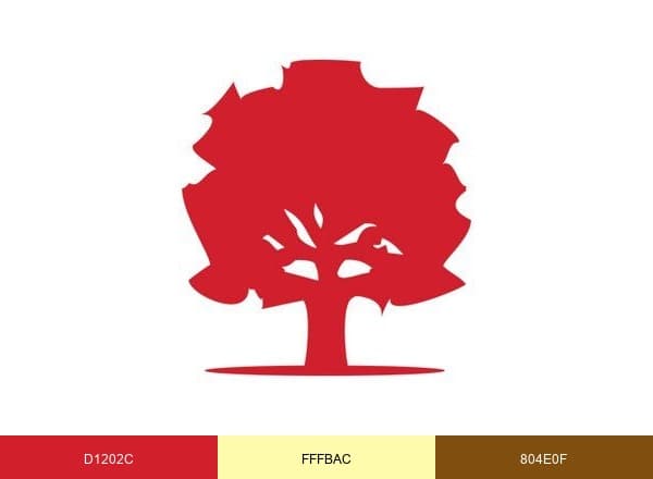 pt Health brand color palette