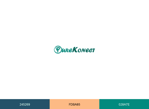 PureKonect brand color palette