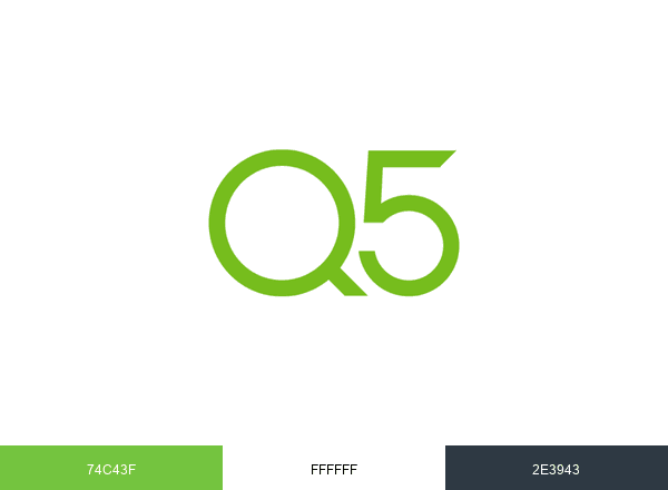 Q5 Consulting brand color palette