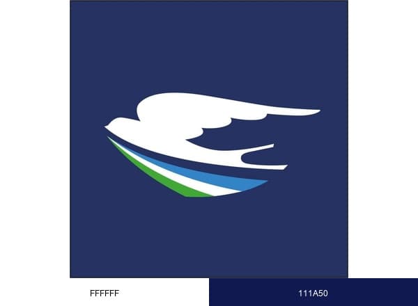 Qanot Sharq Airlines brand color palette