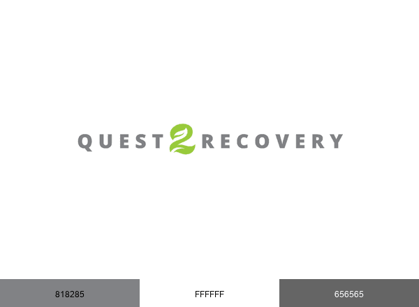 Quest 2 Recovery brand color palette