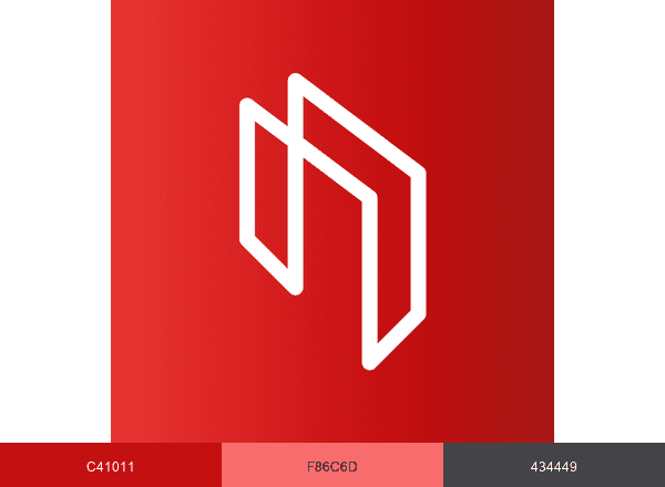RACE RESULT brand color palette