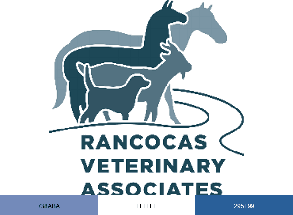Rancocas Veterinary Associates brand color palette