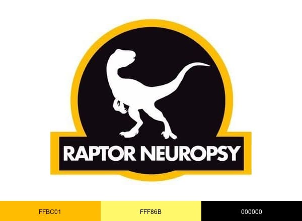 Raptor Neuropsy brand color palette
