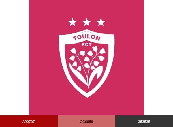 RCT – Rugby Club Toulonnais brand color palette