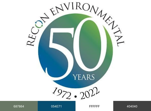 RECON brand color palette