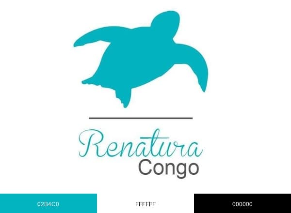 RENATURA brand color palette