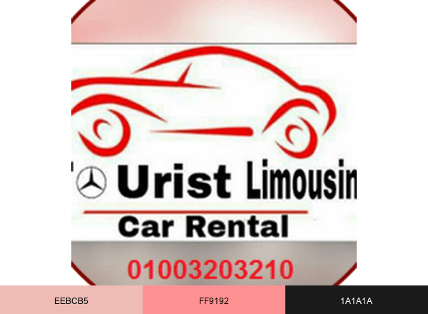 Cheep Car Rental In Egypt، تاجيرسيارات brand color palette