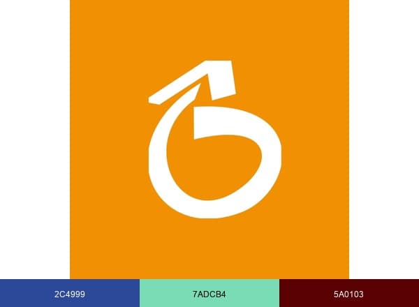 Rio Ônibus brand color palette