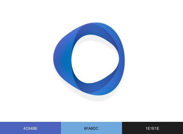 RoboShadow brand color palette