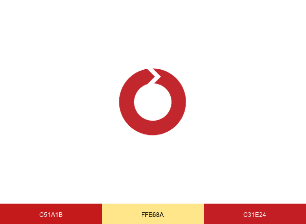 Roundshot Livecam brand color palette