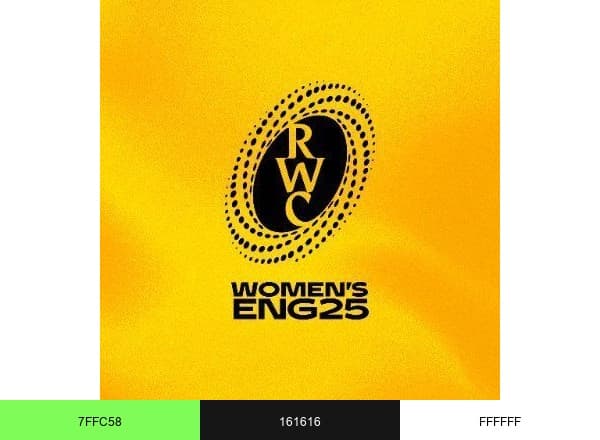 Rugby World Cup brand color palette