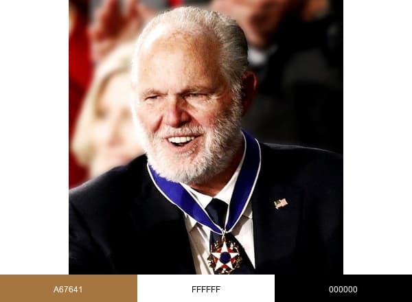 Rush Limbaugh brand color palette