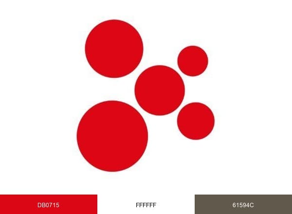 Asociación RUVID brand color palette