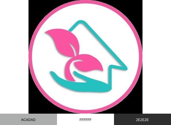 Salamhomecare brand color palette