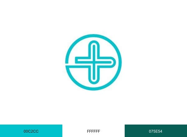 SanisusMedical brand color palette
