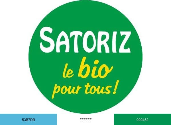 Satoriz brand color palette