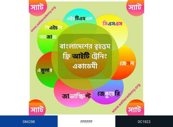 স্যাট একাডেমী brand color palette