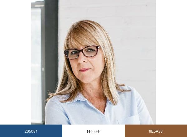 ScaleUp Career brand color palette
