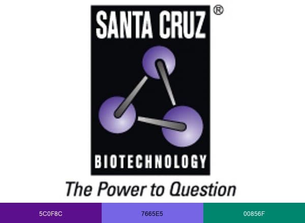 Santa Cruz Biotechnology brand color palette