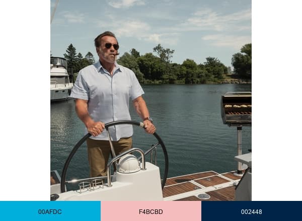 Arnold Schwarzenegger brand color palette