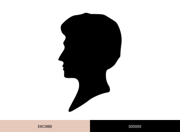 Schwarzkopf brand color palette