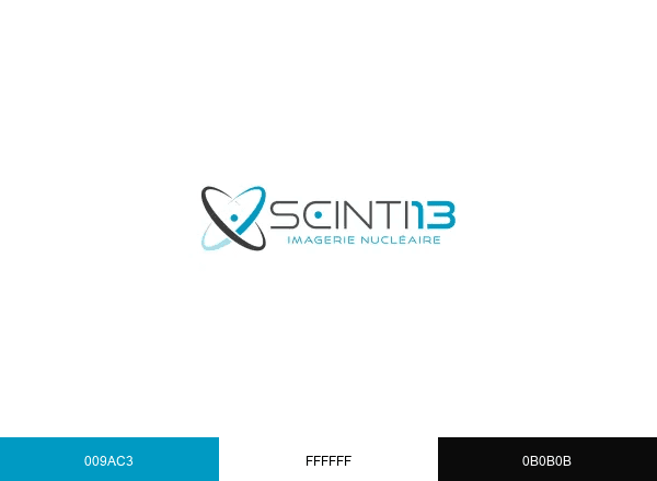 SCINTI 13 brand color palette
