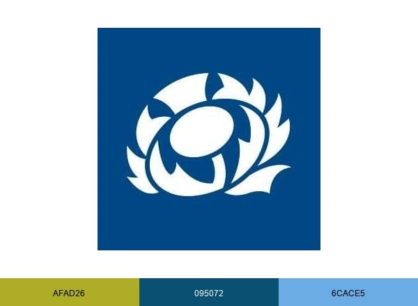 Scottish Rugby brand color palette
