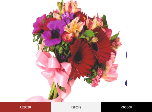 Şendur Çiçek brand color palette