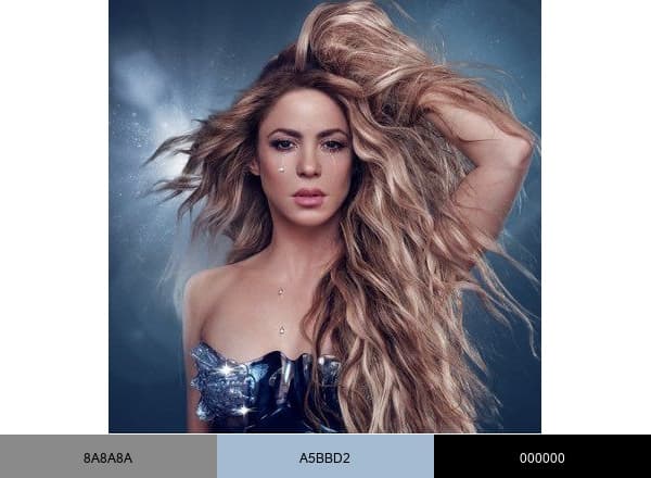 Shakira brand color palette