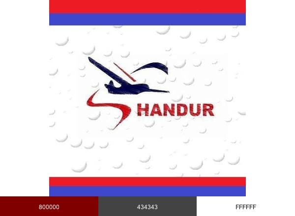 Shandurtravels brand color palette